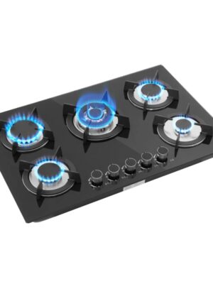 Parrilla Empotrable de Cristal Templado con 5 Quemadores PARGASTEMP5QZT Parrilla Empotrable de Cristal Templado con 5 Quemadores PARGASTEMP5QZT